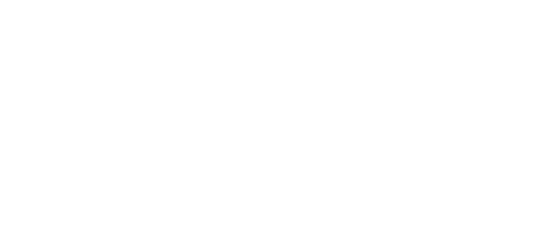 Logidis